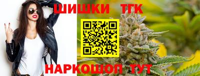гидропоника Заводоуковск